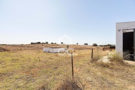 Quinta T0 - Alc��ovas, Viana do Alentejo, �vora - Miniatura: 8/28