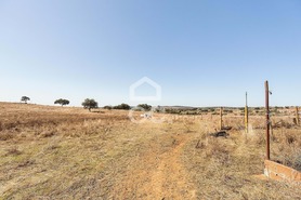 Quinta T0 - Alc��ovas, Viana do Alentejo, �vora - Miniatura: 11/28