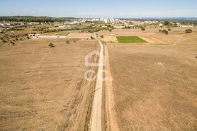 Quinta T0 - Alc��ovas, Viana do Alentejo, �vora - Miniatura: 12/28