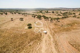 Quinta T0 - Alc��ovas, Viana do Alentejo, �vora - Miniatura: 16/28
