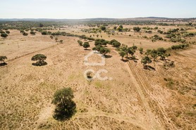 Quinta T0 - Alc��ovas, Viana do Alentejo, �vora - Miniatura: 17/28