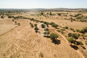 Quinta T0 - Alc��ovas, Viana do Alentejo, �vora - Miniatura: 18/28