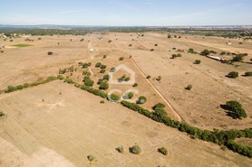 Quinta T0 - Alc��ovas, Viana do Alentejo, �vora - Miniatura: 19/28
