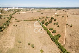 Quinta T0 - Alc��ovas, Viana do Alentejo, �vora - Miniatura: 21/28