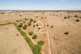 Quinta T0 - Alc��ovas, Viana do Alentejo, �vora - Miniatura: 22/28