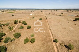 Quinta T0 - Alc��ovas, Viana do Alentejo, �vora - Miniatura: 23/28