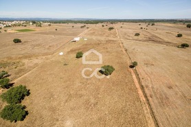 Quinta T0 - Alc��ovas, Viana do Alentejo, �vora - Miniatura: 24/28