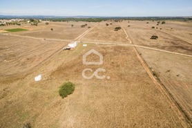 Quinta T0 - Alc��ovas, Viana do Alentejo, �vora - Miniatura: 25/28