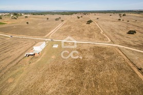 Quinta T0 - Alc��ovas, Viana do Alentejo, �vora - Miniatura: 26/28