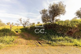 Terreno R�stico T0 - Amieira, Portel, �vora - Miniatura: 36/46