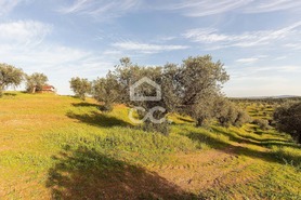 Terreno R�stico T0 - Amieira, Portel, �vora - Miniatura: 38/46