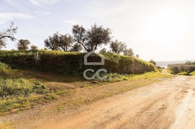 Terreno R�stico T0 - Amieira, Portel, �vora - Miniatura: 46/46