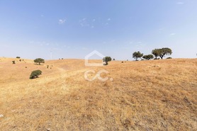 Terreno R�stico T0 - Reguengos de Monsaraz, Reguengos de Monsaraz, �vora - Miniatura: 4/15