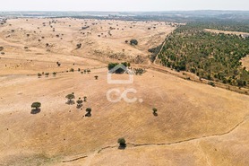Terreno R�stico T0 - Reguengos de Monsaraz, Reguengos de Monsaraz, �vora - Miniatura: 8/15