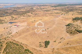 Terreno R�stico T0 - Reguengos de Monsaraz, Reguengos de Monsaraz, �vora - Miniatura: 13/15
