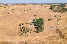 Terreno R�stico T0 - Reguengos de Monsaraz, Reguengos de Monsaraz, �vora - Miniatura: 15/15