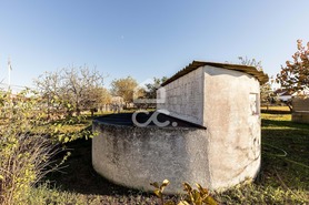 Quinta T0 - Canaviais, �vora, �vora - Miniatura: 15/45