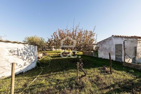 Quinta T0 - Canaviais, �vora, �vora - Miniatura: 18/45