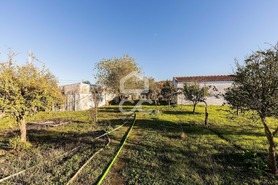 Quinta T0 - Canaviais, �vora, �vora - Miniatura: 19/45