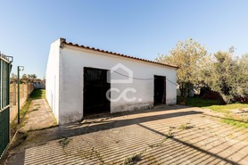 Quinta T0 - Canaviais, �vora, �vora - Miniatura: 20/45