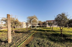 Quinta T0 - Canaviais, �vora, �vora - Miniatura: 22/45