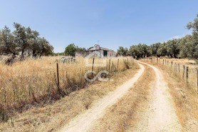Quinta T3 - Bacelo, �vora, �vora - Miniatura: 32/94