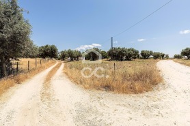 Quinta T3 - Bacelo, �vora, �vora - Miniatura: 51/94