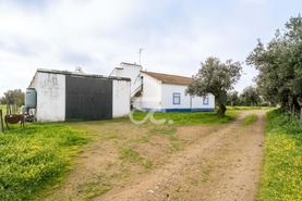 Quinta T3 - Bacelo, �vora, �vora - Miniatura: 83/94