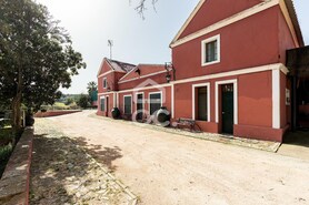 Quinta - N�o Definido, N�o Definido, N�o Definido - Miniatura: 40/125