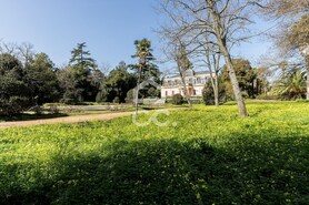 Quinta - N�o Definido, N�o Definido, N�o Definido - Miniatura: 85/125