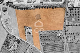 Terreno R�stico T0 - Reguengos de Monsaraz, Reguengos de Monsaraz, �vora