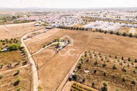 Terreno R�stico T0 - Reguengos de Monsaraz, Reguengos de Monsaraz, �vora - Miniatura: 3/20