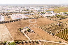 Terreno R�stico T0 - Reguengos de Monsaraz, Reguengos de Monsaraz, �vora - Miniatura: 4/20