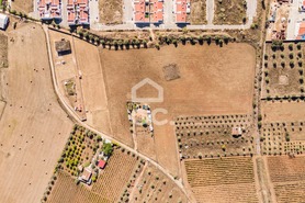 Terreno R�stico T0 - Reguengos de Monsaraz, Reguengos de Monsaraz, �vora - Miniatura: 5/20