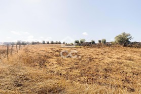 Terreno R�stico T0 - Reguengos de Monsaraz, Reguengos de Monsaraz, �vora - Miniatura: 6/20