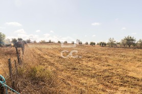Terreno R�stico T0 - Reguengos de Monsaraz, Reguengos de Monsaraz, �vora - Miniatura: 8/20