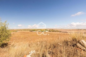 Terreno R�stico T0 - Reguengos de Monsaraz, Reguengos de Monsaraz, �vora - Miniatura: 9/20