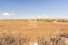 Terreno R�stico T0 - Reguengos de Monsaraz, Reguengos de Monsaraz, �vora - Miniatura: 10/20