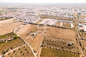 Terreno R�stico T0 - Reguengos de Monsaraz, Reguengos de Monsaraz, �vora - Miniatura: 14/20