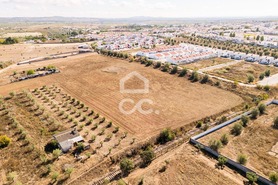 Terreno R�stico T0 - Reguengos de Monsaraz, Reguengos de Monsaraz, �vora - Miniatura: 15/20