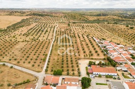 Terreno R�stico T0 - Amieira, Portel, �vora - Miniatura: 3/21