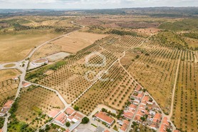 Terreno R�stico T0 - Amieira, Portel, �vora - Miniatura: 5/21