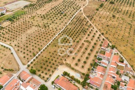 Terreno R�stico T0 - Amieira, Portel, �vora - Miniatura: 6/21