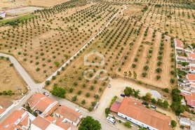 Terreno R�stico T0 - Amieira, Portel, �vora - Miniatura: 7/21
