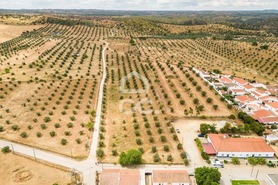 Terreno R�stico T0 - Amieira, Portel, �vora - Miniatura: 8/21