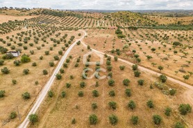 Terreno R�stico T0 - Amieira, Portel, �vora - Miniatura: 10/21