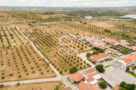 Terreno R�stico T0 - Amieira, Portel, �vora - Miniatura: 11/21