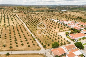 Terreno R�stico T0 - Amieira, Portel, �vora - Miniatura: 12/21