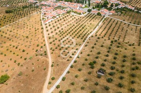 Terreno R�stico T0 - Amieira, Portel, �vora - Miniatura: 16/21