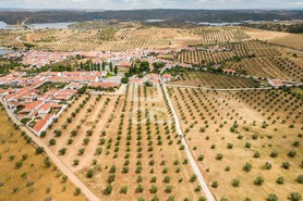 Terreno R�stico T0 - Amieira, Portel, �vora - Miniatura: 18/21